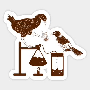 New Zealand birds science experiment Sticker